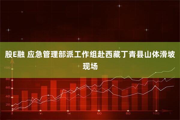 股E融 应急管理部派工作组赴西藏丁青县山体滑坡现场