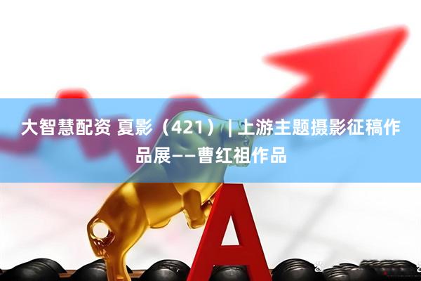 大智慧配资 夏影（421） | 上游主题摄影征稿作品展——曹红祖作品