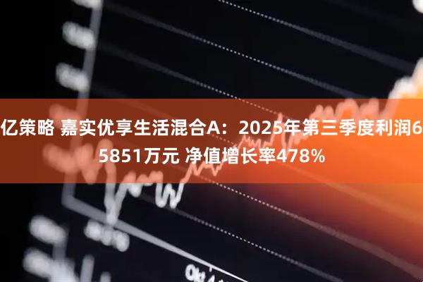 亿策略 嘉实优享生活混合A：2025年第三季度利润65851万元 净值增长率478%